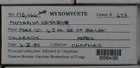 Image Associated With the Occurence